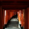 DSC03343_DxO