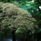 SDIM0508_DxO