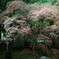 SDIM0503_DxO