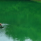 Greeeeeen！