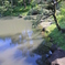 池に映る青空