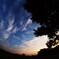 夏の空