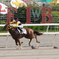 1R 勝ち馬　ファイヤーダンス