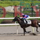 2R　勝ち馬　オーネットエース