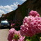 Vézelay, FR