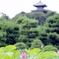 蓮と五重塔