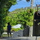 DSC00364[1]