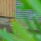 DSC00369[1]