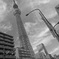 DSC00640[1]
