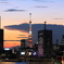 夕暮れの東京タワー