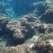 八丈島の海