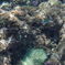八丈島の海2