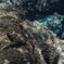 八丈島の海3