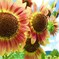 夏を駆け抜けよう！！