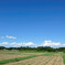 sng_20120819_376