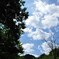 sng_20120819_375