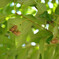 sng_20120805_372