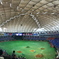 Take me to the ball game