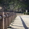 昼下がりの公園
