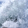 Splashhhh!!!－2012