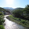 川の光