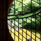 DSC03494_DxO