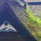 日本家屋