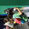 DSC03364