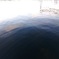 Ripple