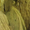 P8241016