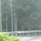 晴れなのに豪雨