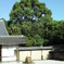 龍安寺の石庭