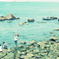 夏の家族