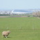 2009-04-29_28北海道