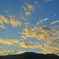 DSC01048[1]
