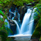 Mt Dandenong Range : FALLS