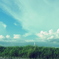 夏空
