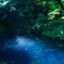 青池