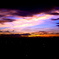 VIVID