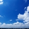 青と白の夏