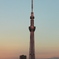 TOKYO SKY TREE