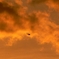 夕陽