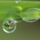 水鏡