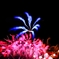 Fire Flowers