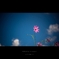 撮 Flower
