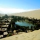 the oasis