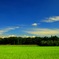 夏空