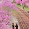 花の駅「ごうど」