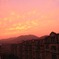 IMG_7684