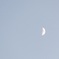 The moon in ashes 